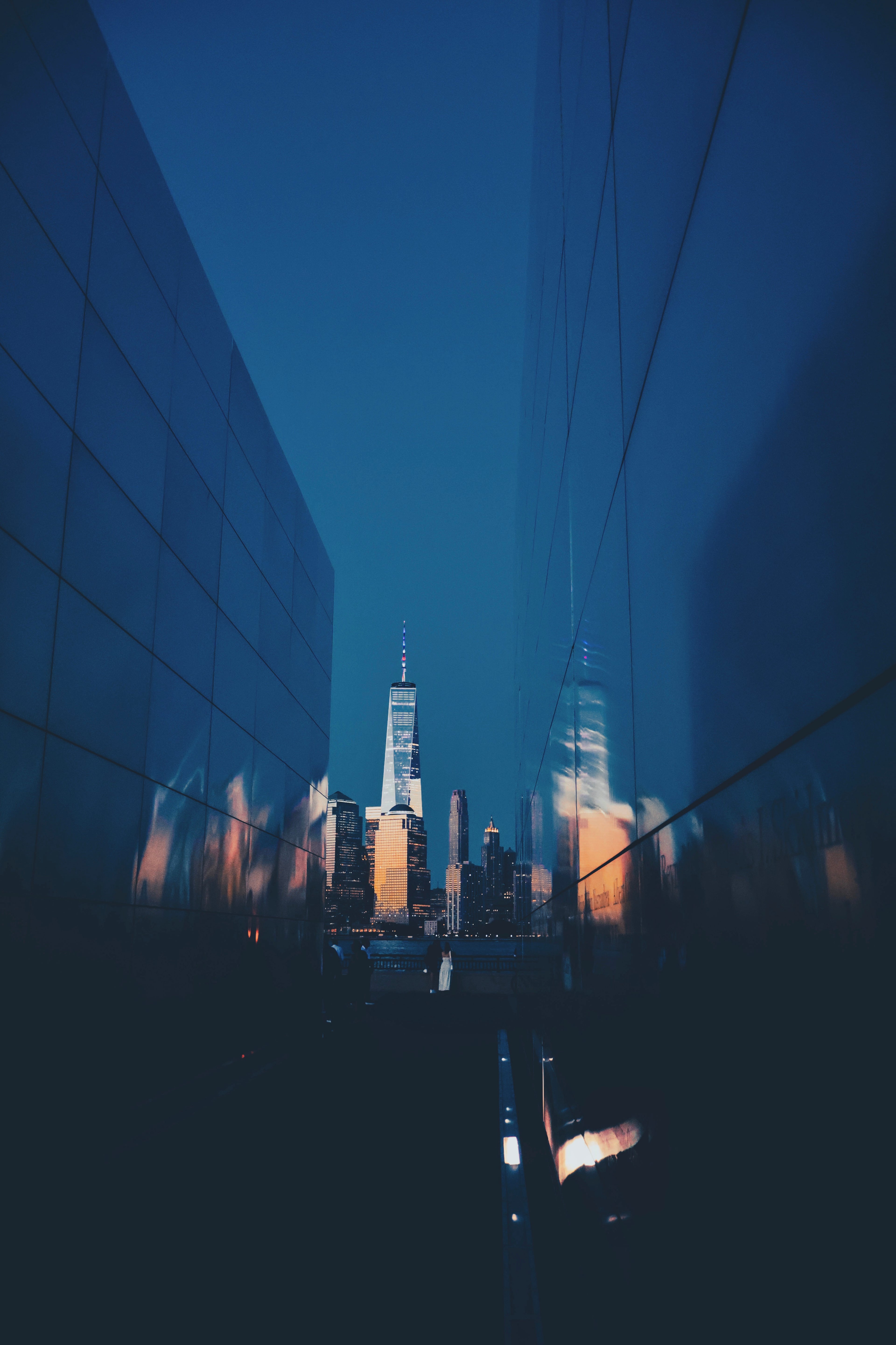 The Path Forward II