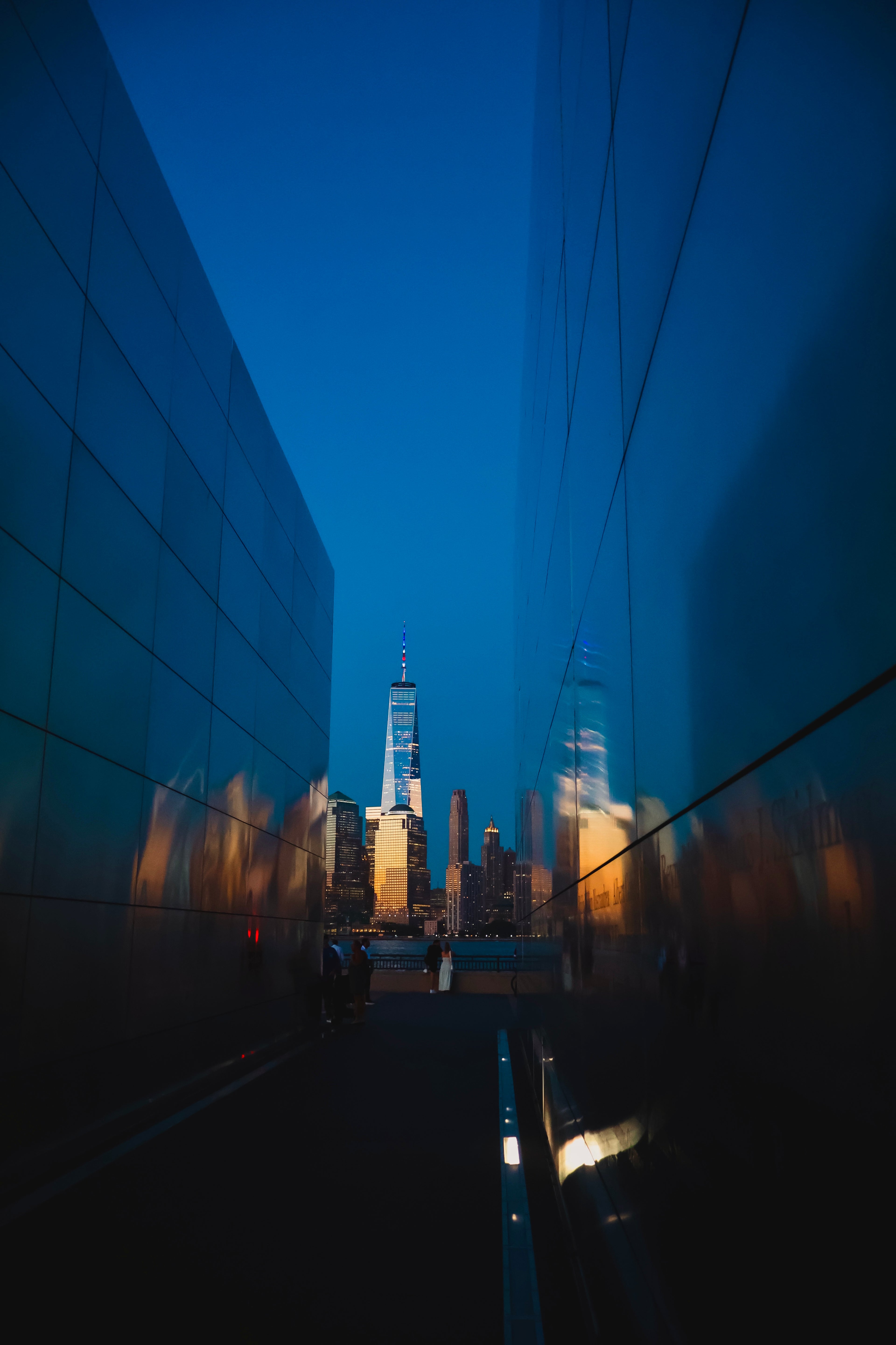 The Path Forward I